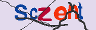 Code captcha