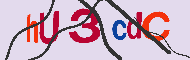 Code captcha